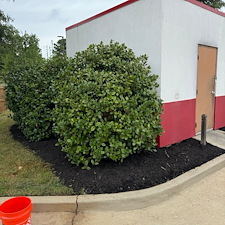 Commercial-Mulching-Services-in-Oxford-MS-and-Surrounding-Areas 9